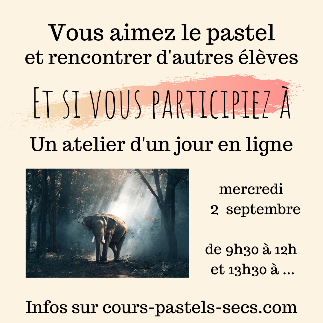 ateliers élephant 2