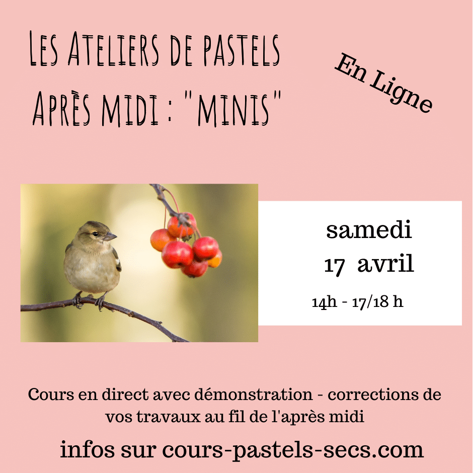 oiseau
