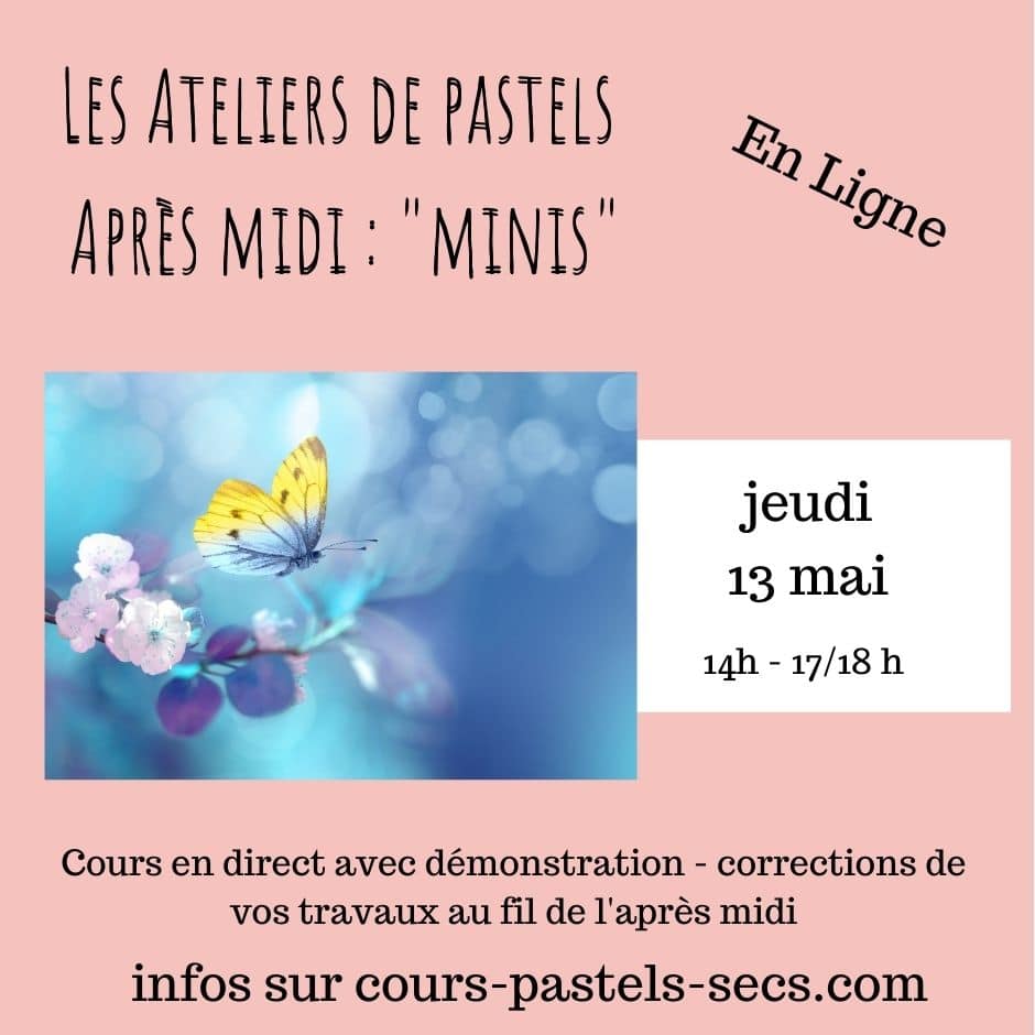 papillon présentation atelier de pastels