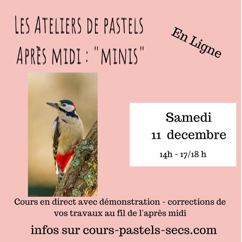mini atelier dec atelier pastels en ligne